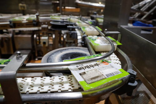 探訪進(jìn)博會(huì)參展商 韓國綠色食品企業(yè)圃美多的豆腐工廠