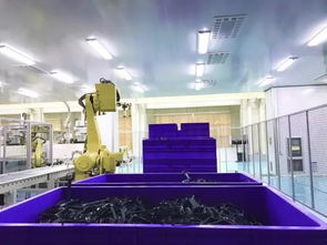 西山食品 國內首個食用油塑包產品智慧工廠順利啟用